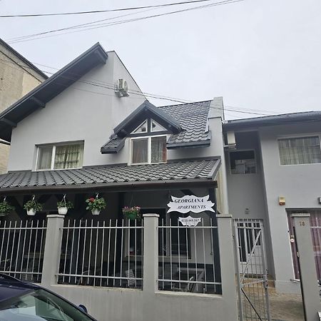 Georgiana Apartments 2 Тимишоара Экстерьер фото