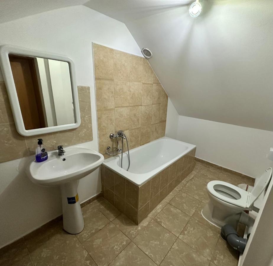 Georgiana Apartments 2 Тимишоара Экстерьер фото
