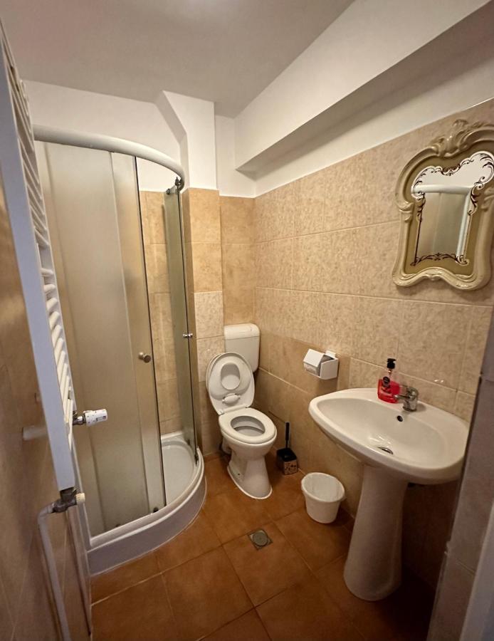 Georgiana Apartments 2 Тимишоара Экстерьер фото