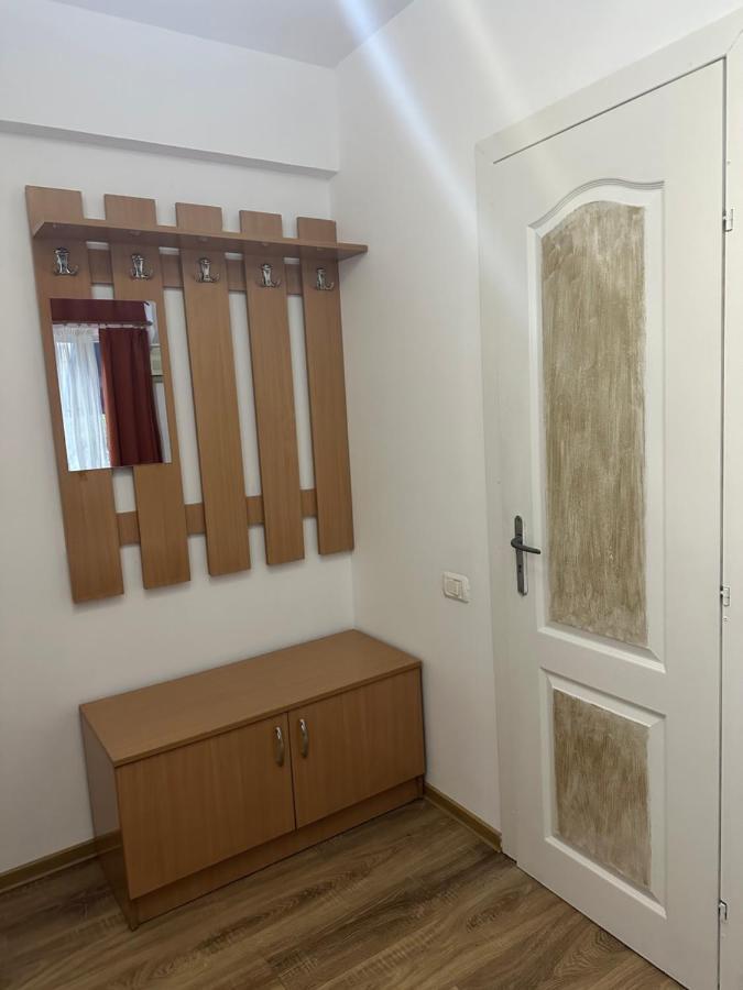 Georgiana Apartments 2 Тимишоара Экстерьер фото