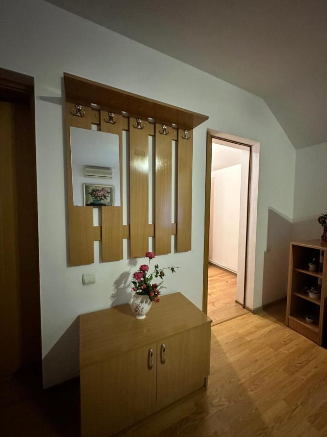 Georgiana Apartments 2 Тимишоара Экстерьер фото