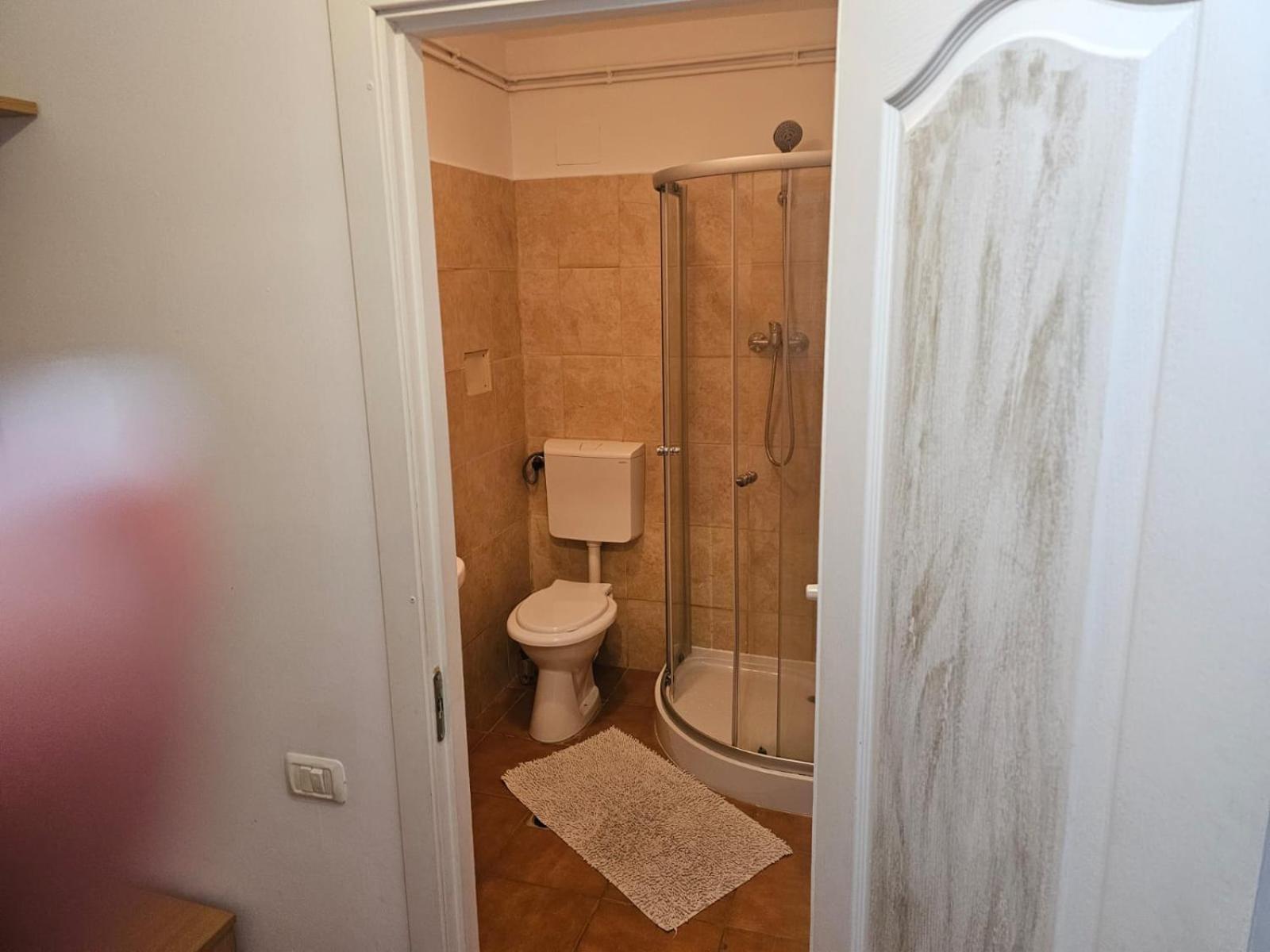 Georgiana Apartments 2 Тимишоара Экстерьер фото